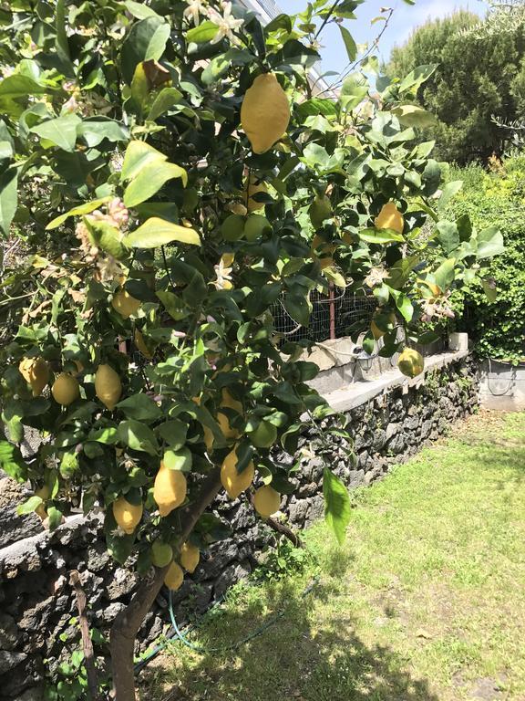 Al Villino Villa Katanya Dış mekan fotoğraf