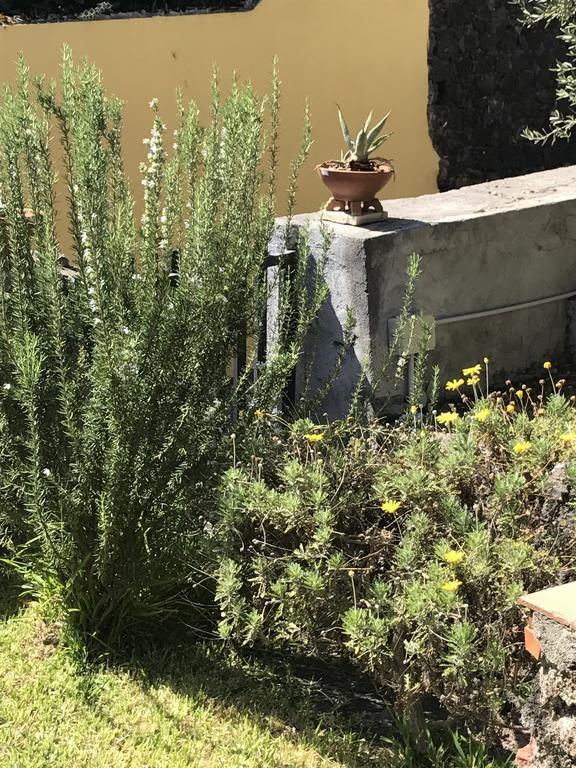 Al Villino Villa Katanya Dış mekan fotoğraf