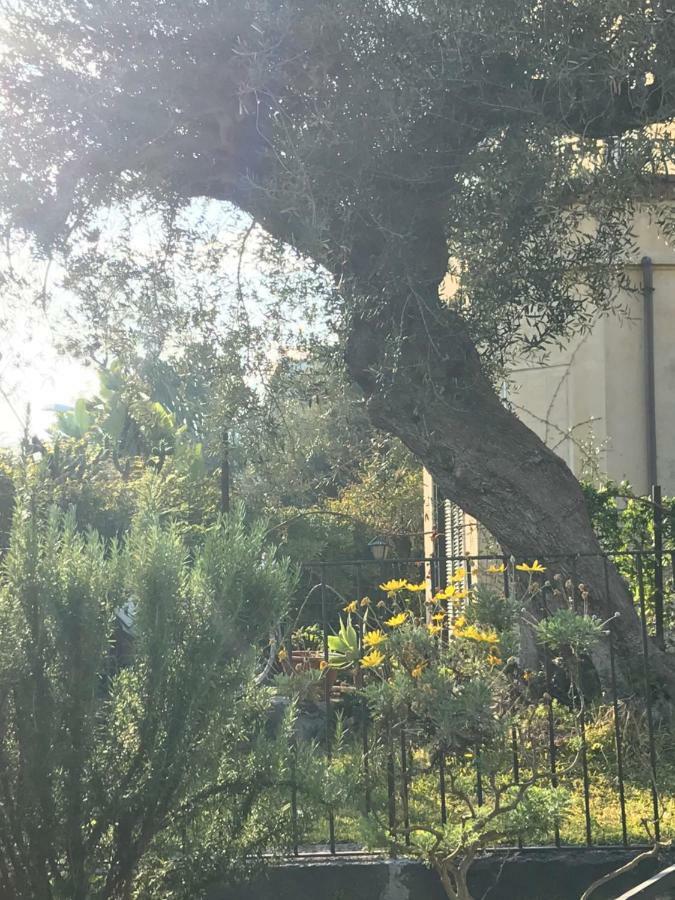 Al Villino Villa Katanya Dış mekan fotoğraf